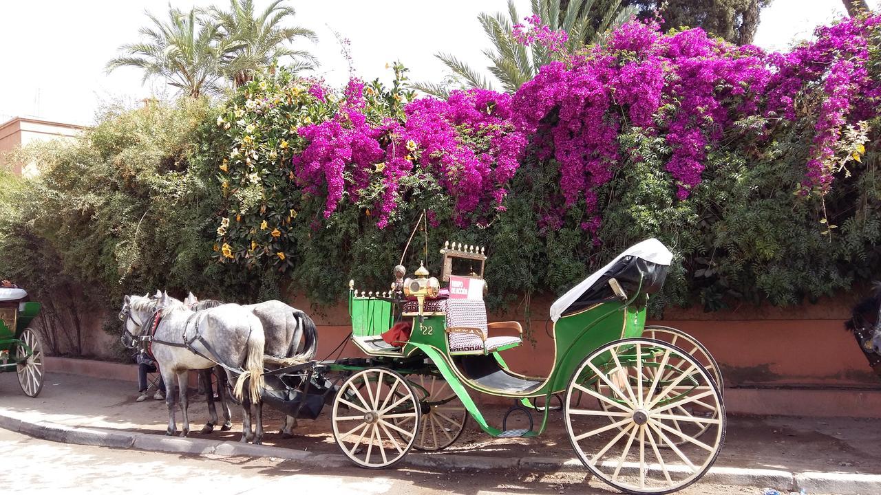 Mirador De Majorelle, The Apartment Is Only For Families Marrakesh Extérieur photo